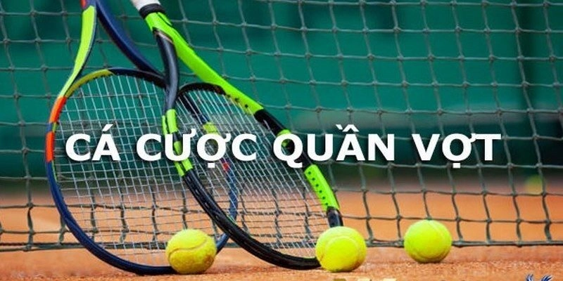 Hướng dẫn tham gia cá cược quần vợt từ A đến Z